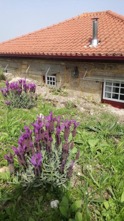 Casa Do Rancho - Turismo Rural Paranhos  Exteriér fotografie